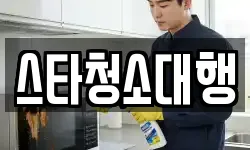 스타청소대행