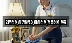 입주청소,사무실청소,이사청소,건물청소,소독