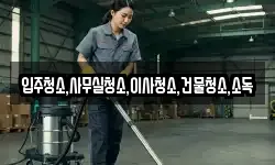 입주청소,사무실청소,이사청소,건물청소,소독