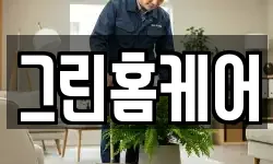 그린홈케어