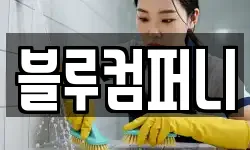 블루컴퍼니