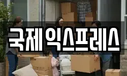 국제익스프레스