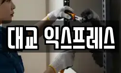 대교 익스프레스
