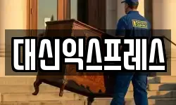대신익스프레스