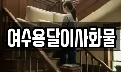 여수용달이사화물