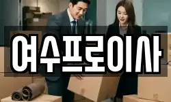 여수프로이사