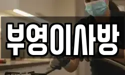 부영이사방