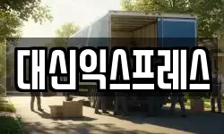 대신익스프레스