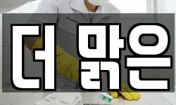 더 맑은
