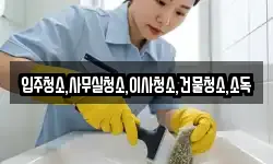 입주청소,사무실청소,이사청소,건물청소,소독