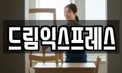 드림익스프레스
