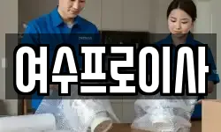 여수프로이사