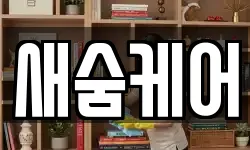 새숨케어