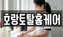 호랑토탈홈케어