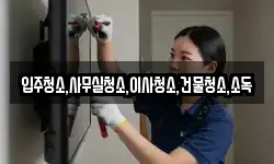 입주청소,사무실청소,이사청소,건물청소,소독