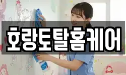 호랑토탈홈케어