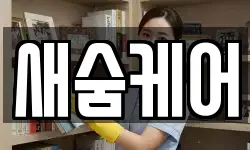 새숨케어