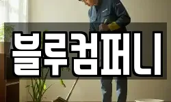블루컴퍼니