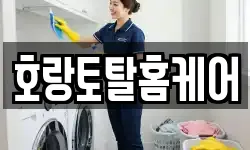 호랑토탈홈케어