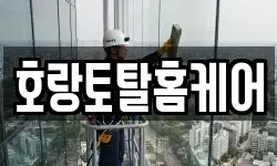 전라남도 여수시 화정면 청소,입주청소,사무실청소,에어컨청소