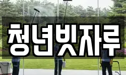 청년빗자루