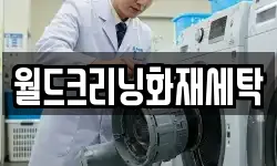 월드크리닝화재세탁