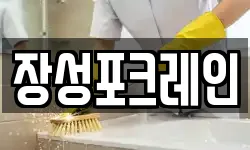 장성포크레인