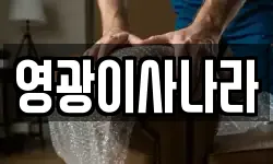 영광이사나라