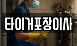 타이거포장이사