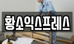 황소익스프레스
