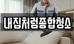 내집처럼종합청소