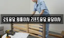 전라남도 영암군 덕진면 이사,용달이사,포장이사,원룸이사,보관이사