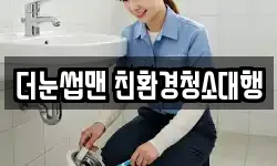 더눈썹맨 친환경청소대행
