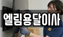 엘림용달이사