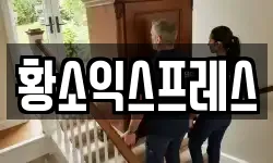 황소익스프레스
