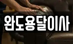 완도용달이사