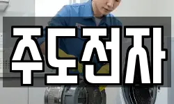주도전자