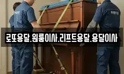 전라남도 완도군 노화읍 이사,용달이사,포장이사,원룸이사,보관이사