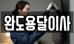 완도용달이사