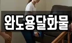 완도용달화물