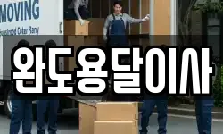 완도용달이사