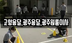 고향용달,광주용달,광주원룸이사