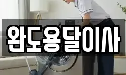 완도용달이사