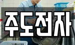 주도전자