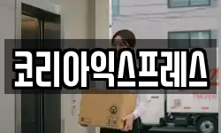 전라남도 완도군 완도읍 이사,용달이사,포장이사,원룸이사,보관이사