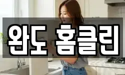 완도 홈클린