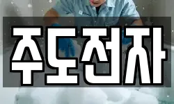 주도전자
