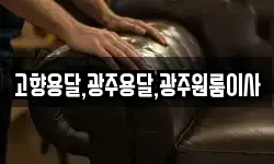 전라남도 완도군 청산면 이사,용달이사,포장이사,원룸이사,보관이사