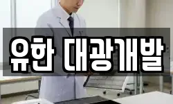 유한 대광개발