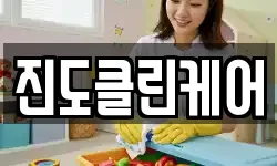 진도클린케어